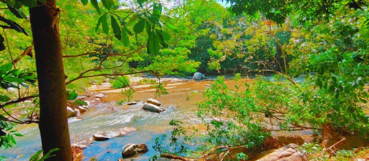 Вилла Casa Kumake Tayrona Эль-Саино Экстерьер фото