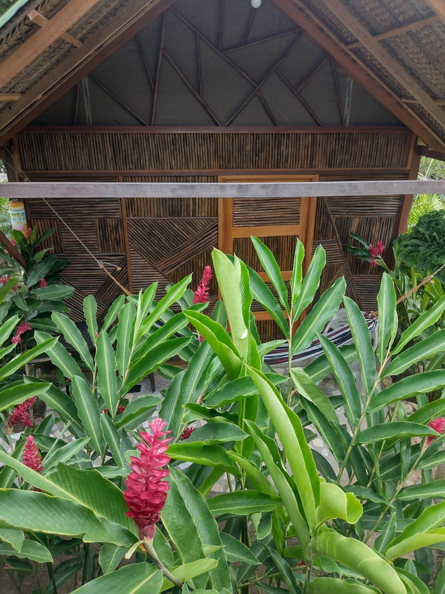 Вилла Casa Kumake Tayrona Эль-Саино Экстерьер фото