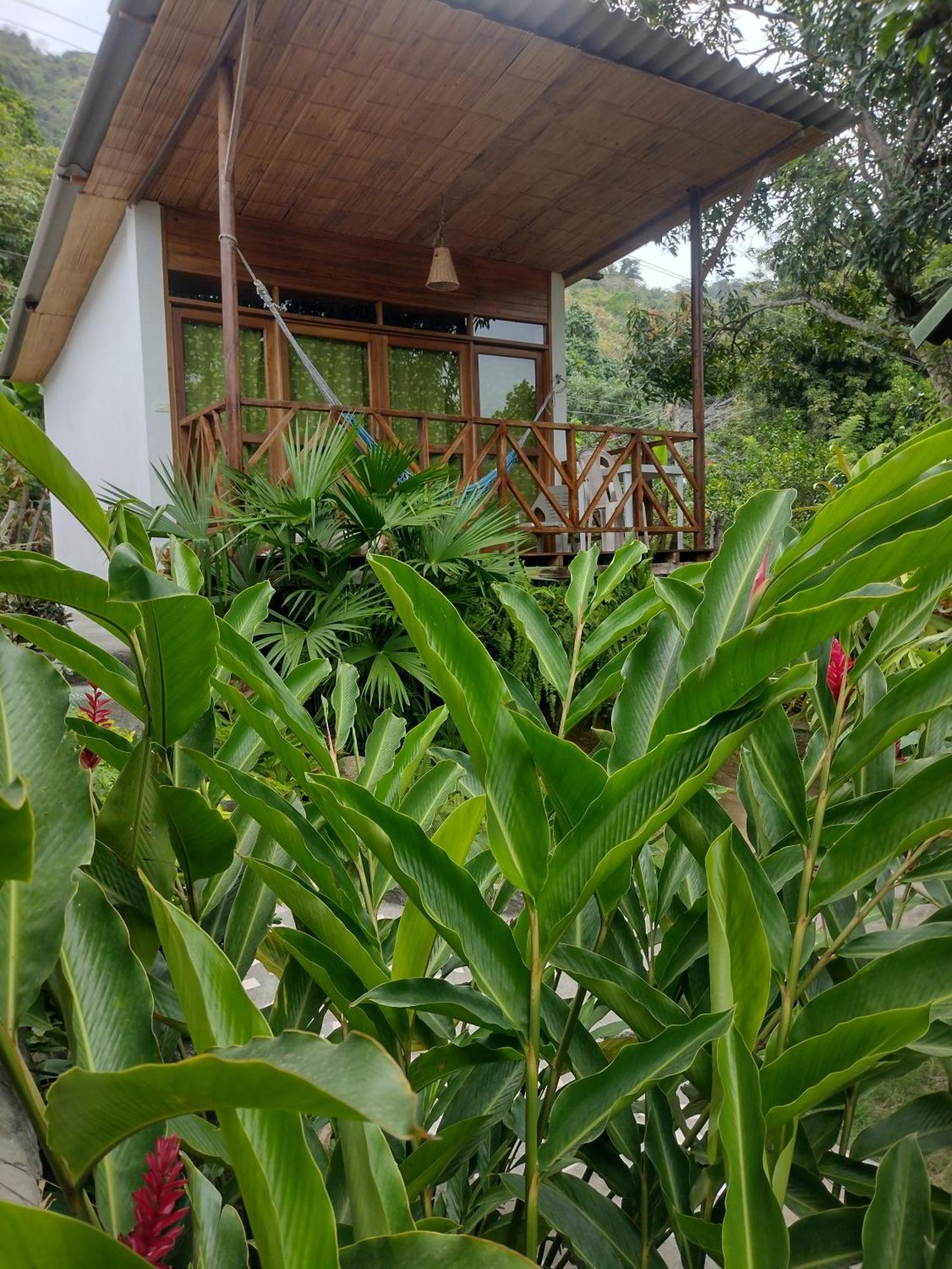 Вилла Casa Kumake Tayrona Эль-Саино Экстерьер фото