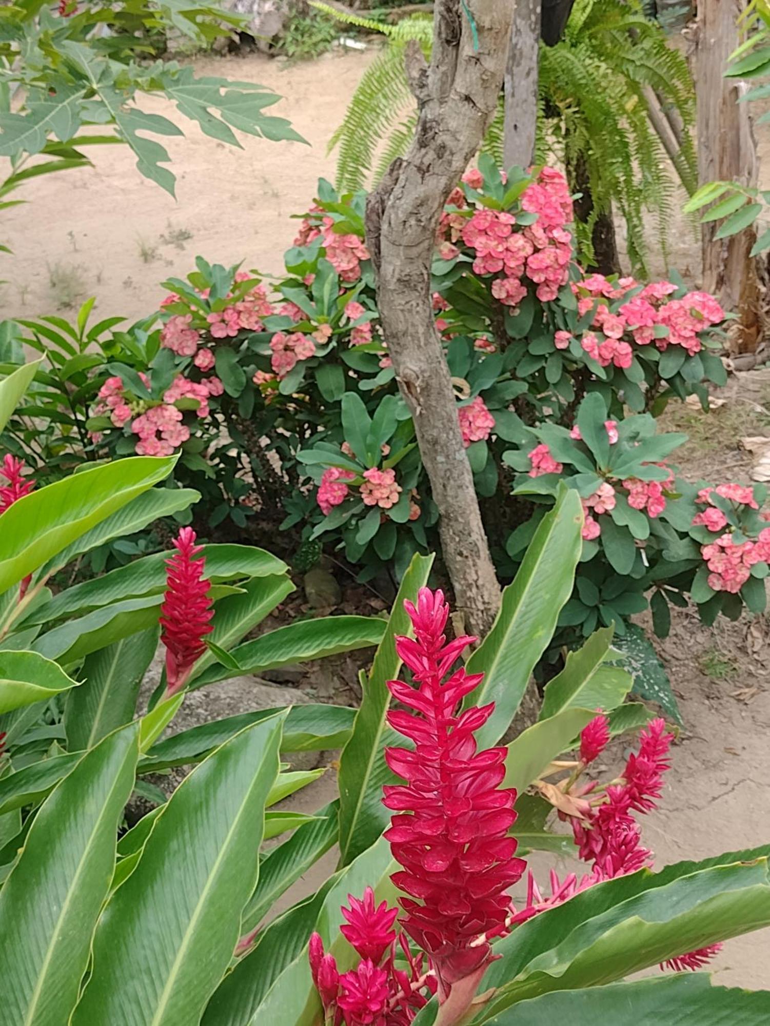 Вилла Casa Kumake Tayrona Эль-Саино Экстерьер фото