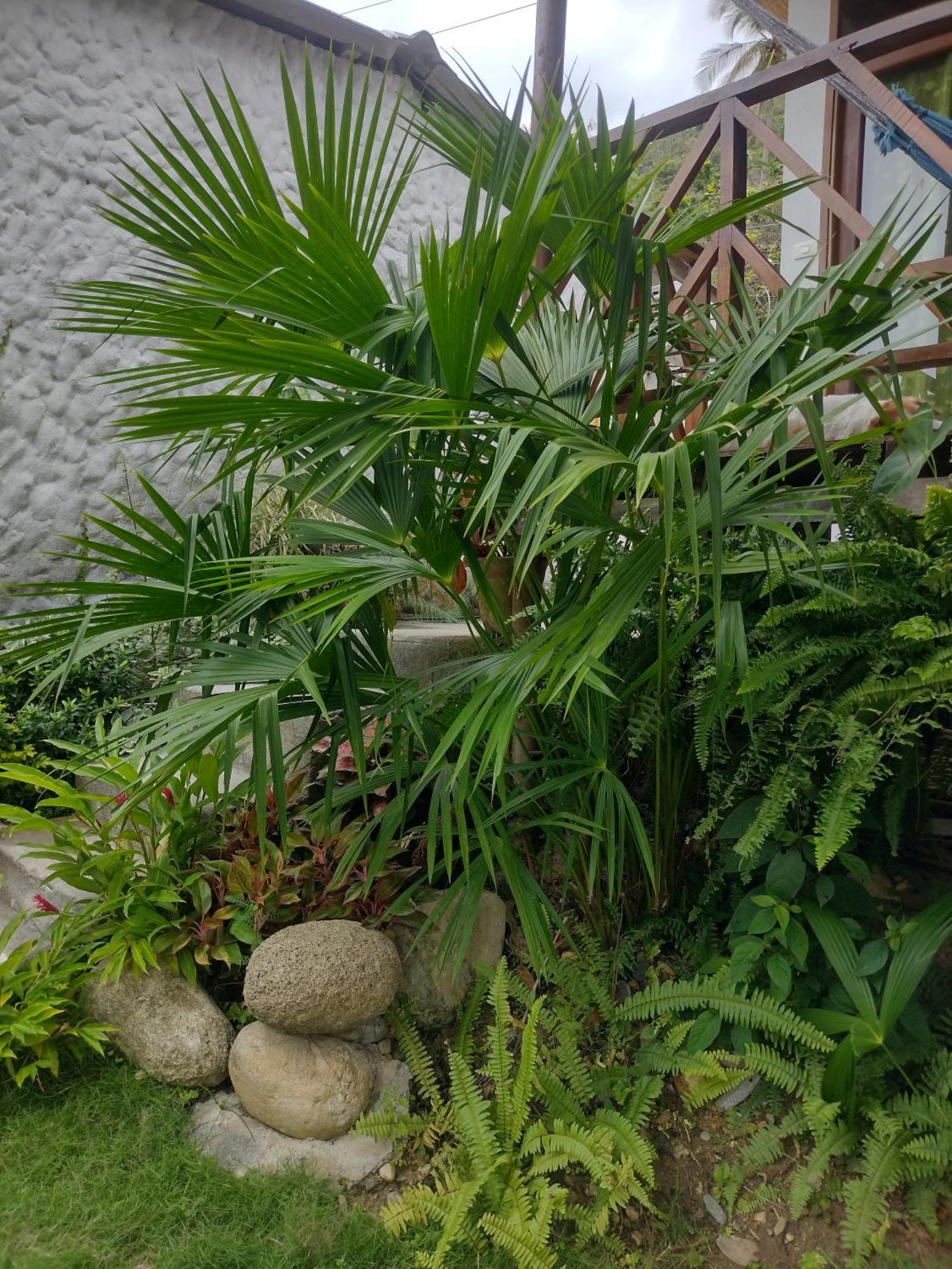 Вилла Casa Kumake Tayrona Эль-Саино Экстерьер фото